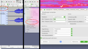 Wellenform Spektrogramm erstellen in Audacity. Frequenzbereich und Fourier-Fenster Einstellungen